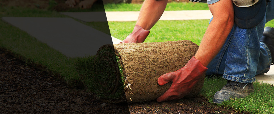 Fresh Meadows Landscapers